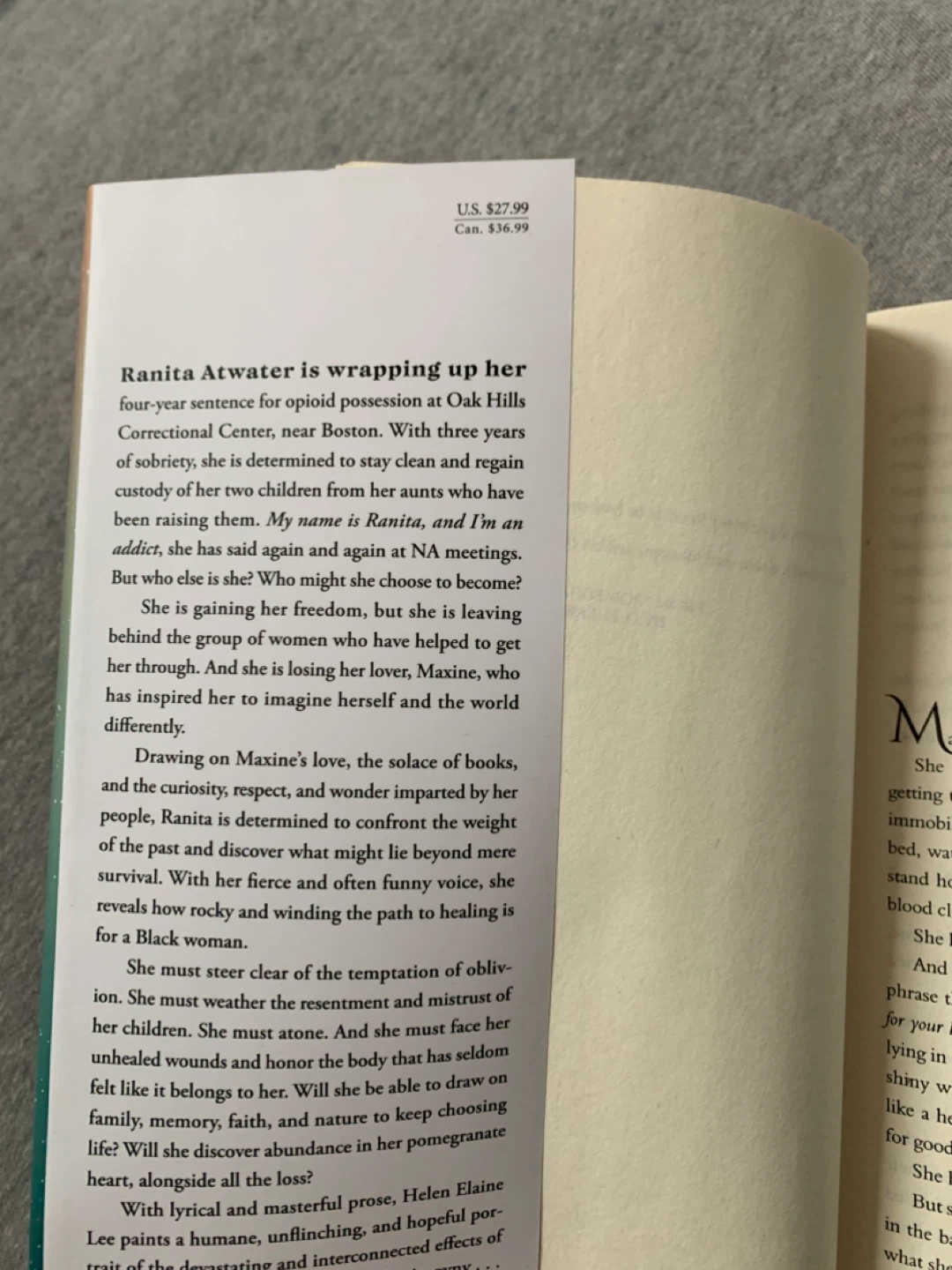 POMEGRANATE: novel by Helen Elaine Lee 🏆 - photo 3