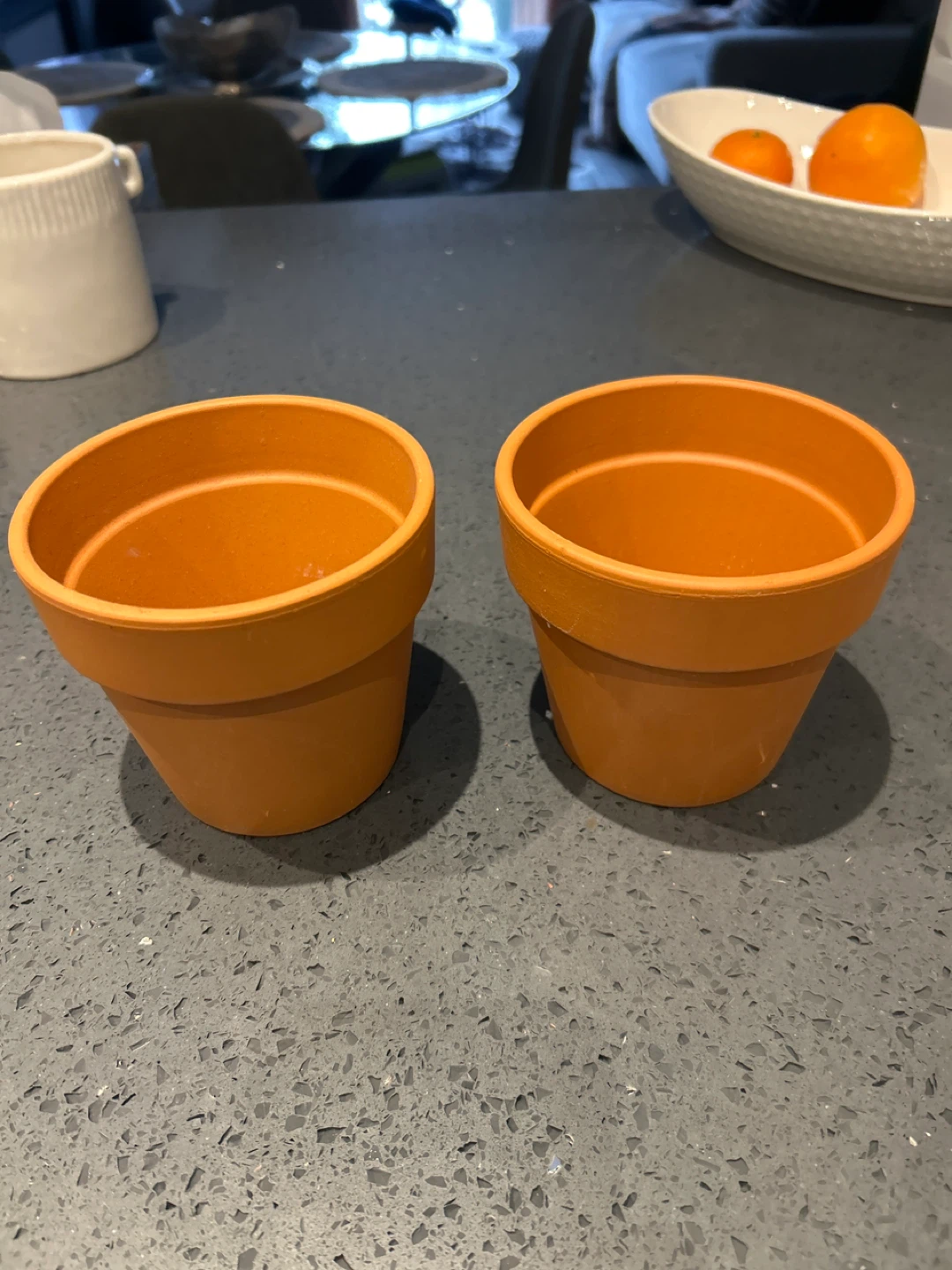 Two Terracotta Pots