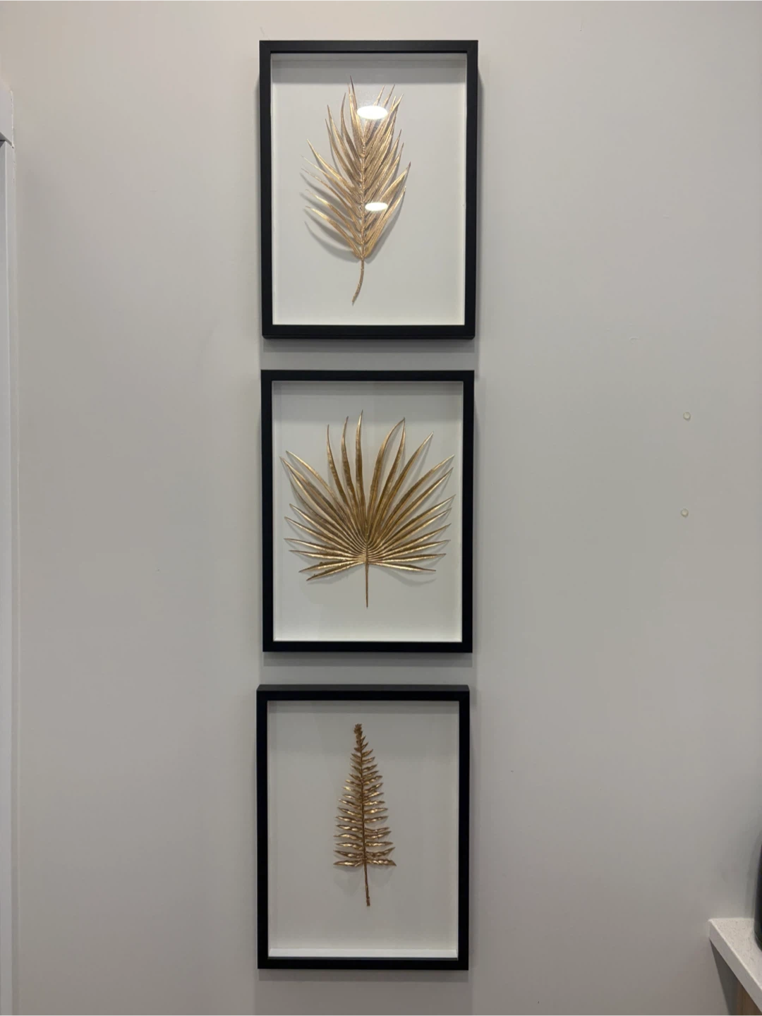 Set of 3 Framed Gold Leaf Wall Art