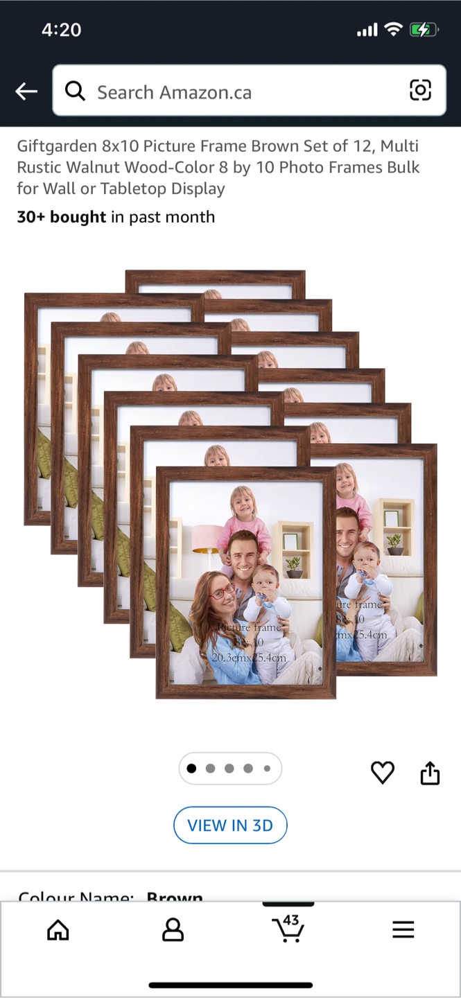 8x10 Picture Frames Brown (Set of 11)