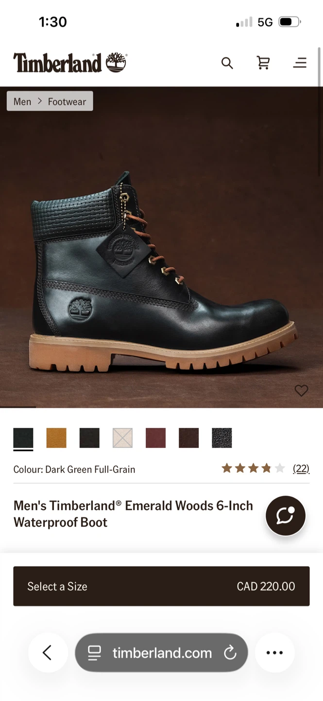 Men's Timberland Emerald Woods 6-Inch Waterproof Boot