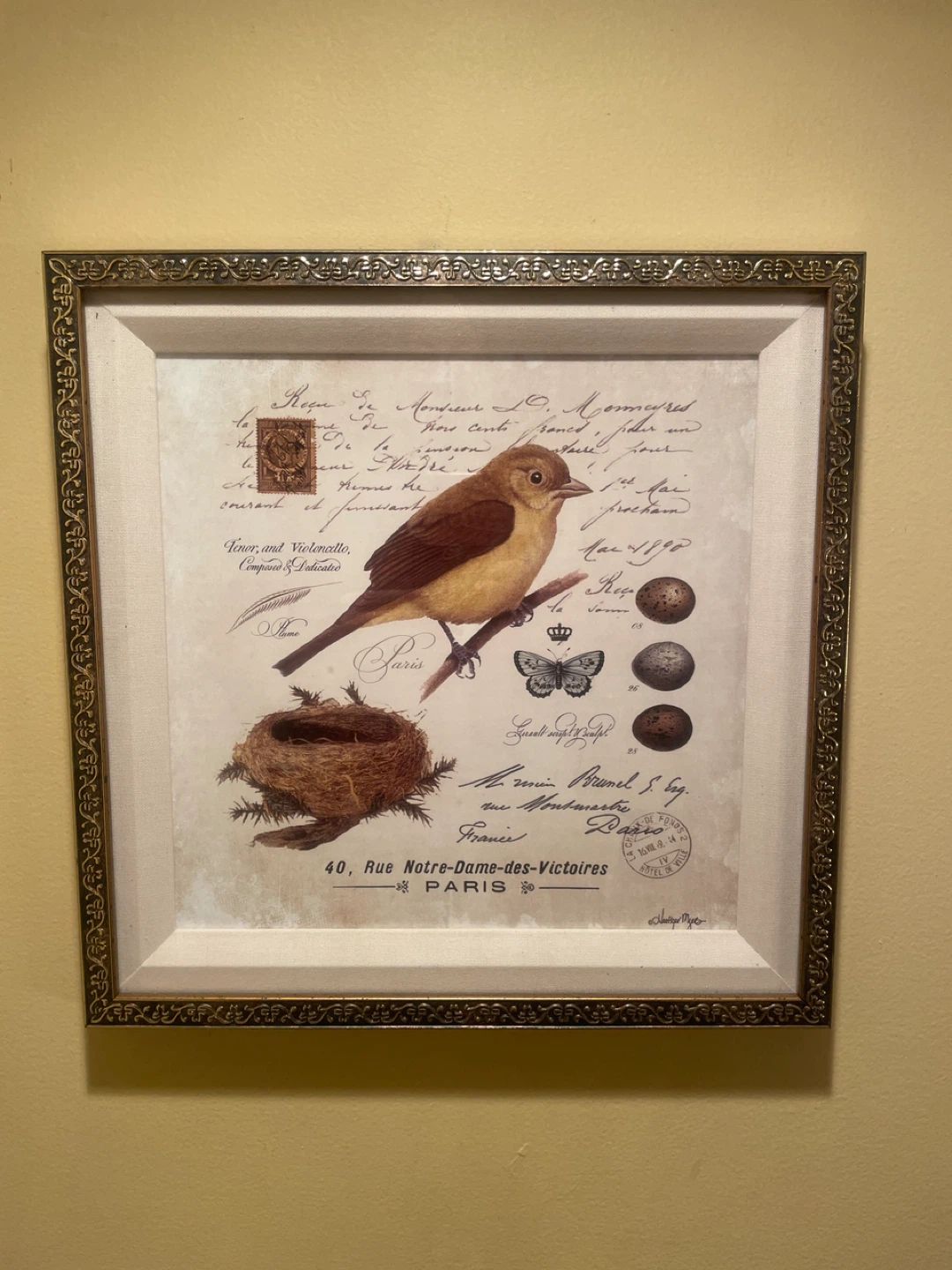 Framed Bird Art Print - Vintage Parisian Style