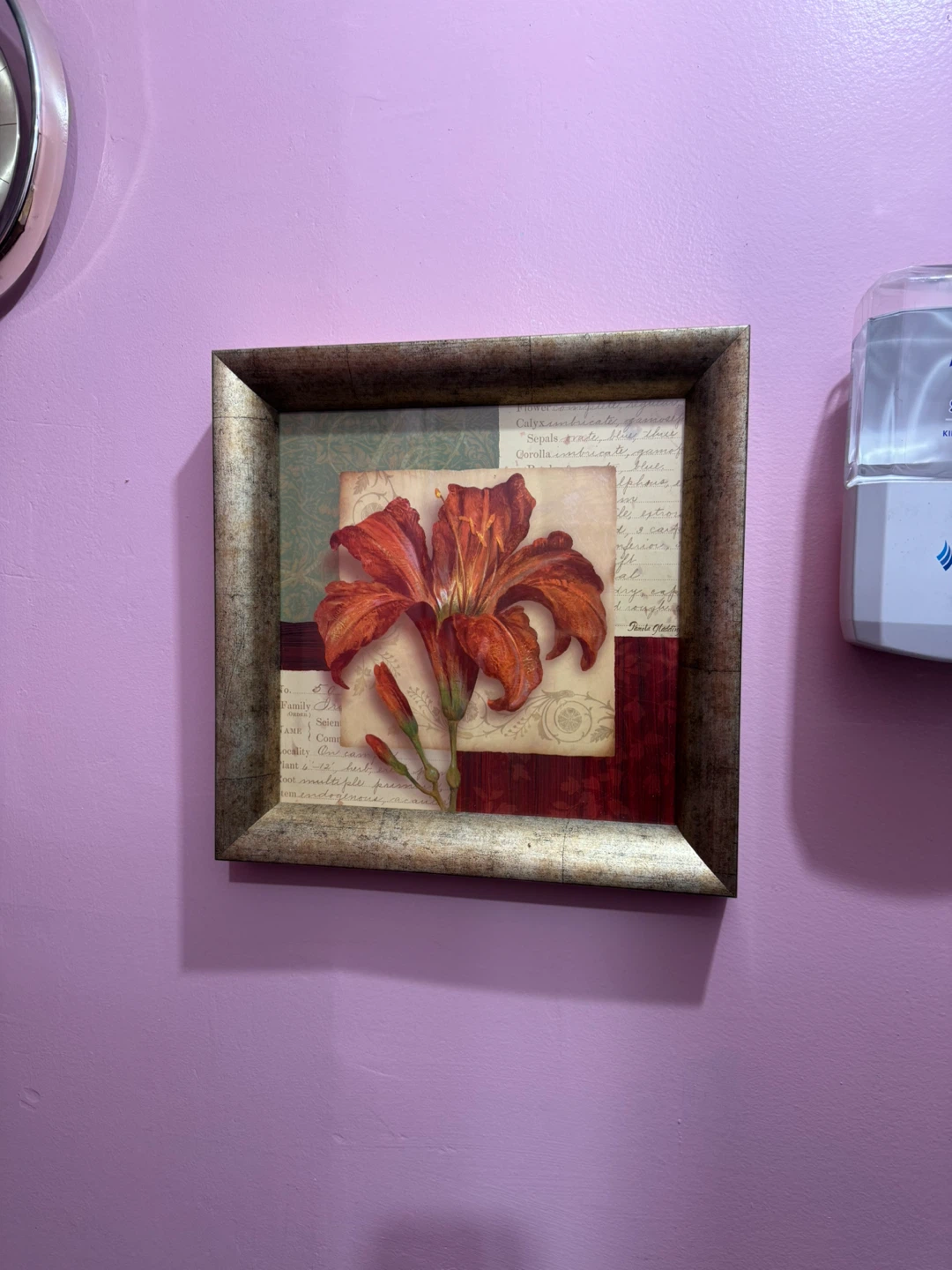 Framed Floral Artwork with Botanical Text