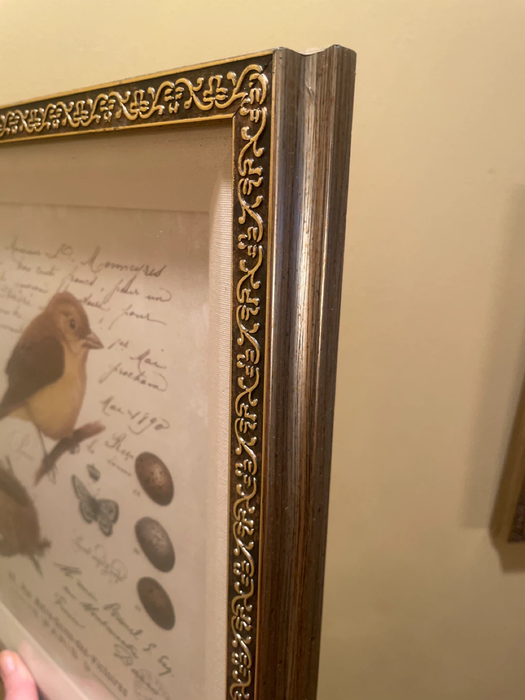 Framed Bird Art Print - Vintage Parisian Style - photo 2