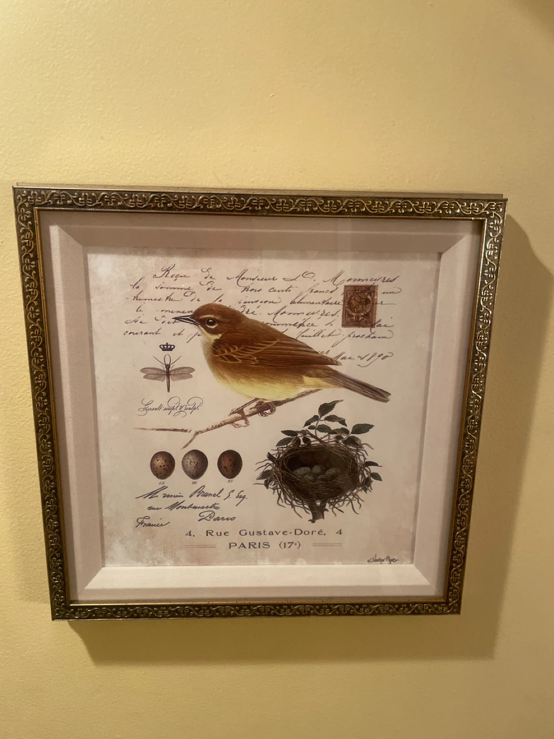 Framed Bird Art Print - Vintage Parisian Style - photo 3