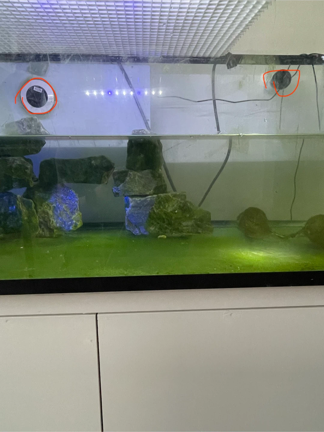 Aquarium Tank with Stand - photo 2