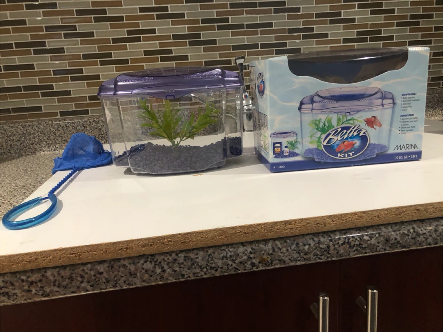 Marina Betta Fish Aquarium Kit - photo 3