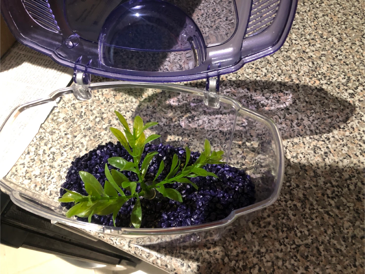 Marina Betta Fish Aquarium Kit - photo 2
