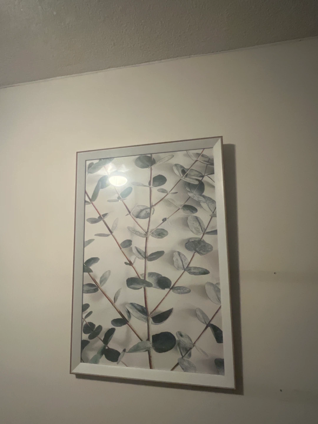 Framed Eucalyptus Leaf Wall Art