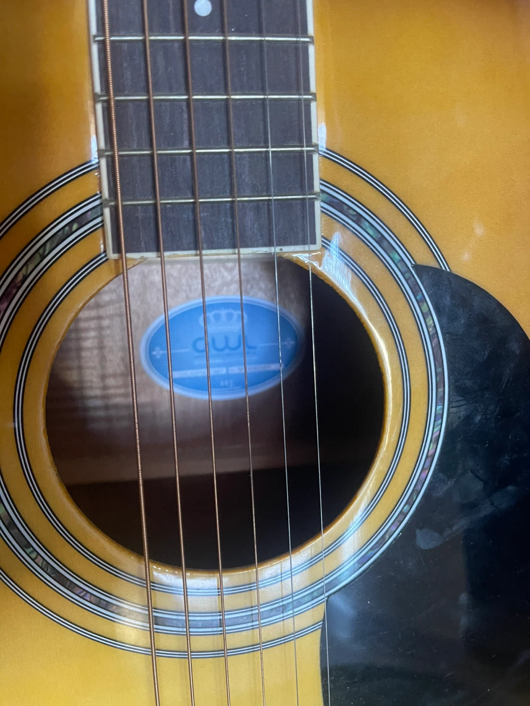 GWL George Washburn Limited Acoustic Guitar - photo 3