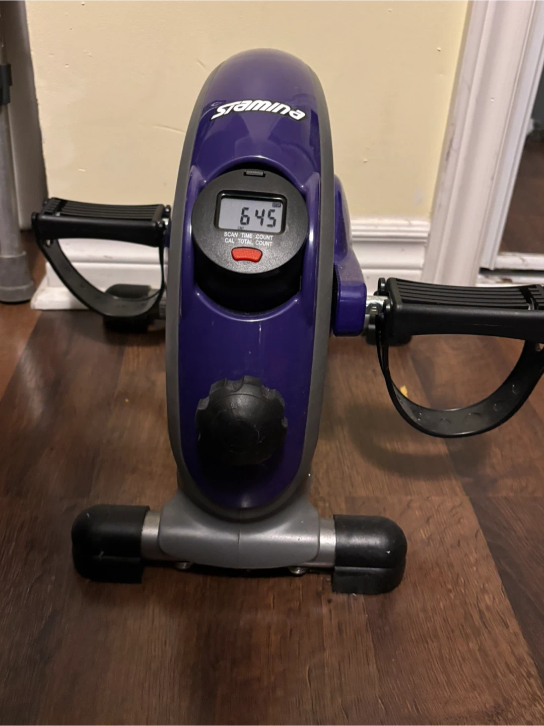 Stamina Mini Exercise Bike 🏆