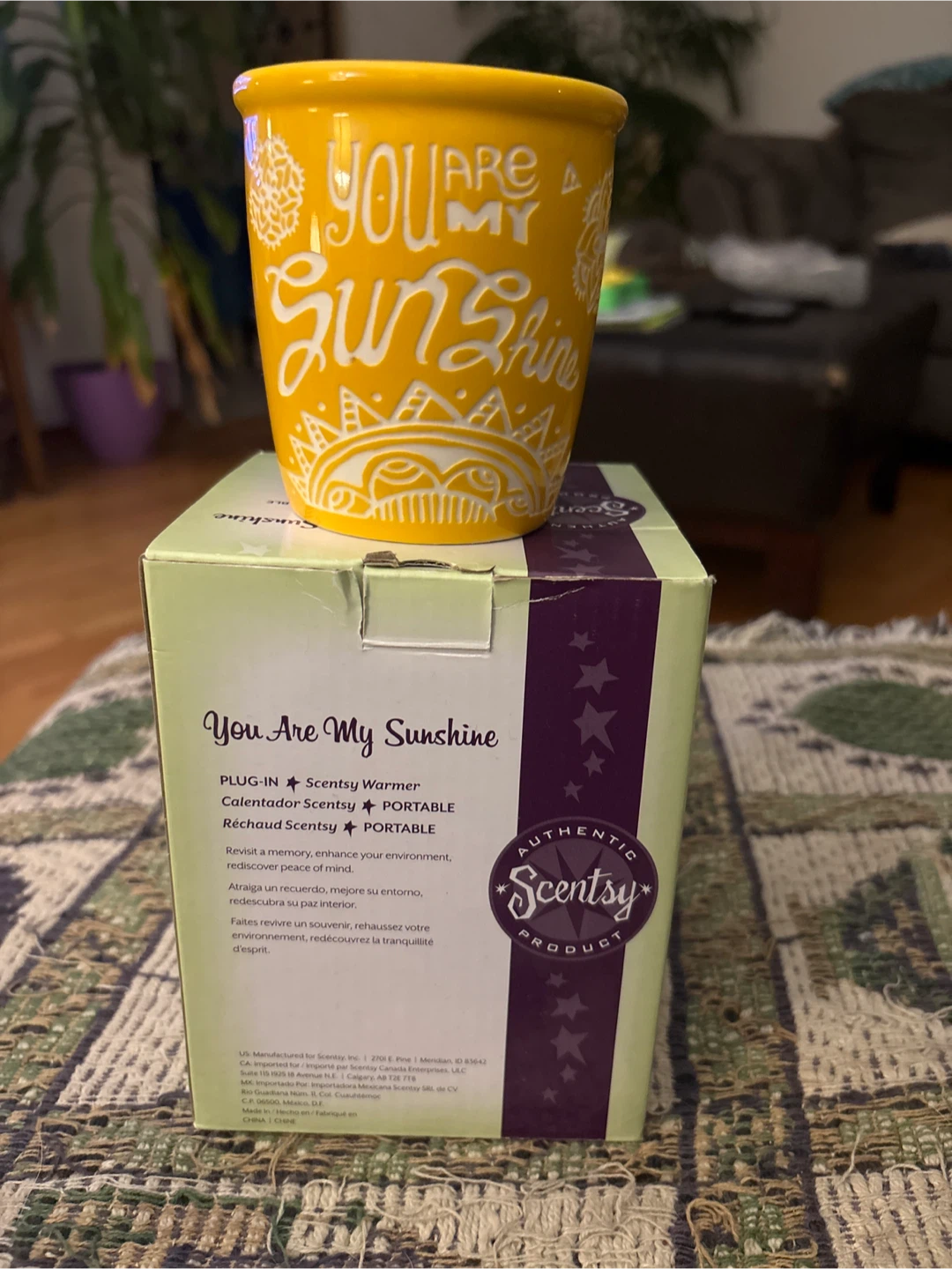 Scentsy You Are My Sunshine Plug-In Warmer