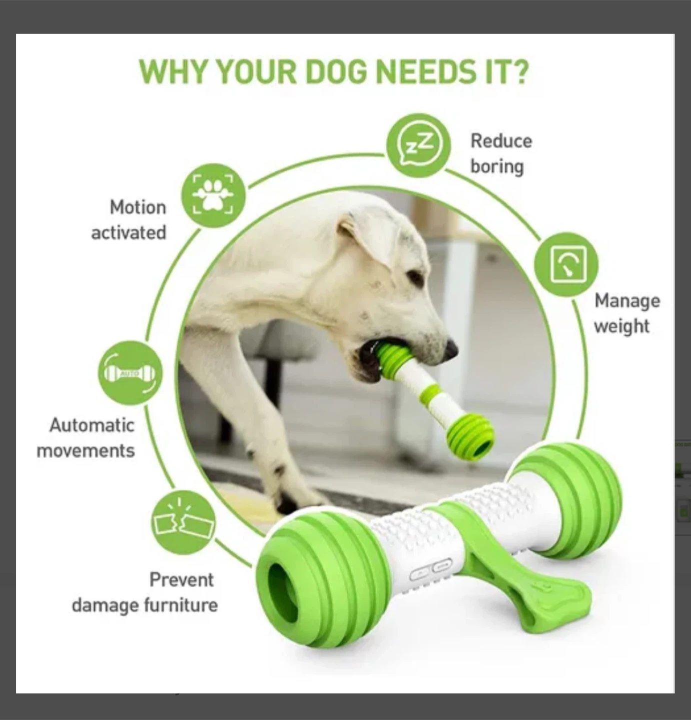 PetGeek Playbone Interactive Dog Toy 🏆