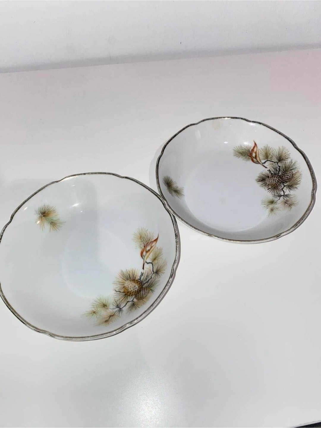 Vinage Fine Translucent China