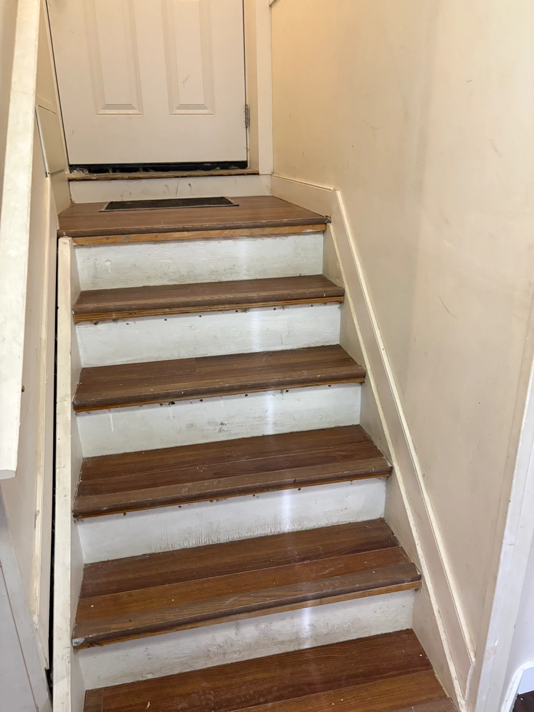 ✨ Beautiful Legal 1-Bedroom Basement for Rent | Martindale NE |✨ - photo 3