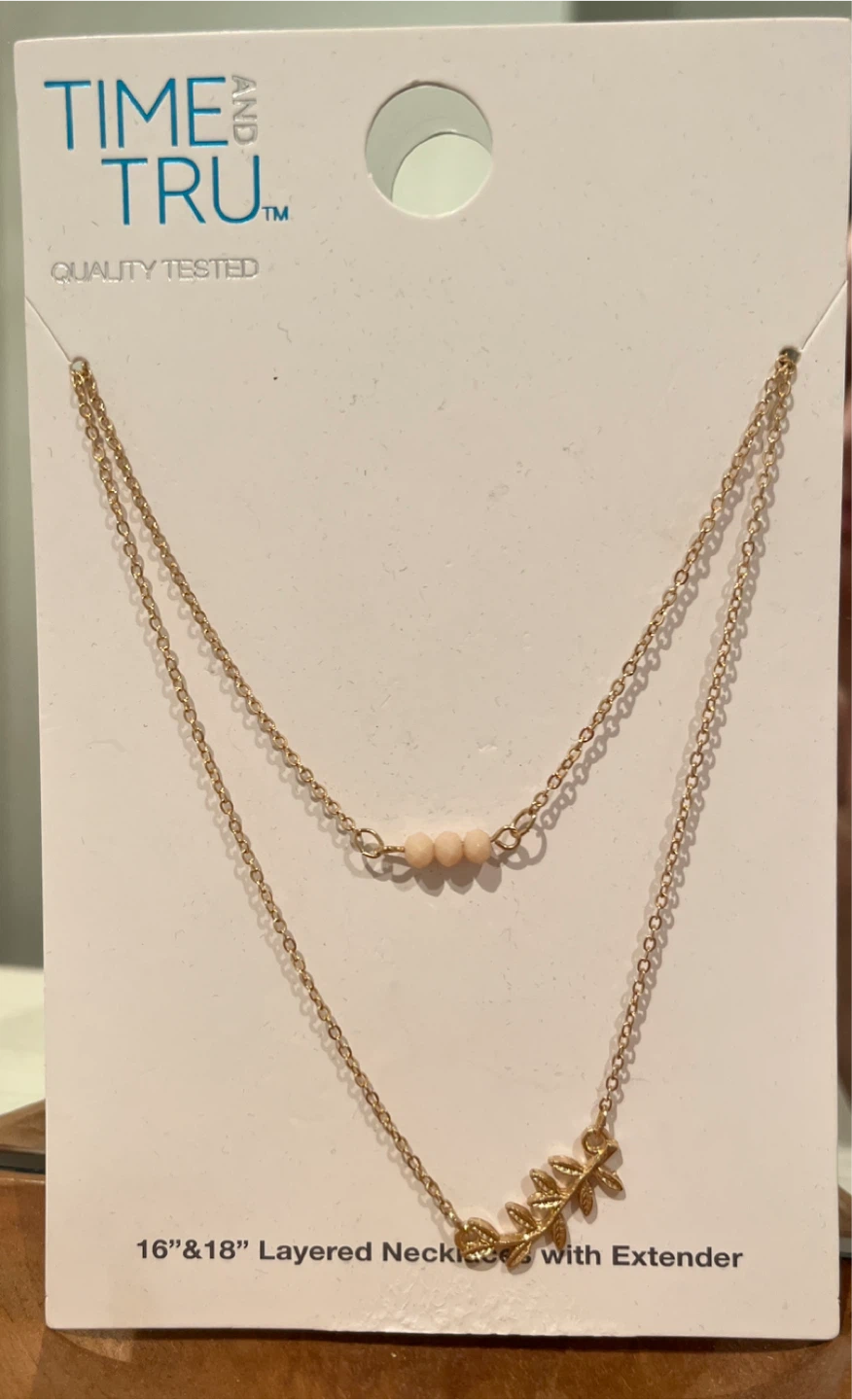 Layered Necklace with Extender 🏆