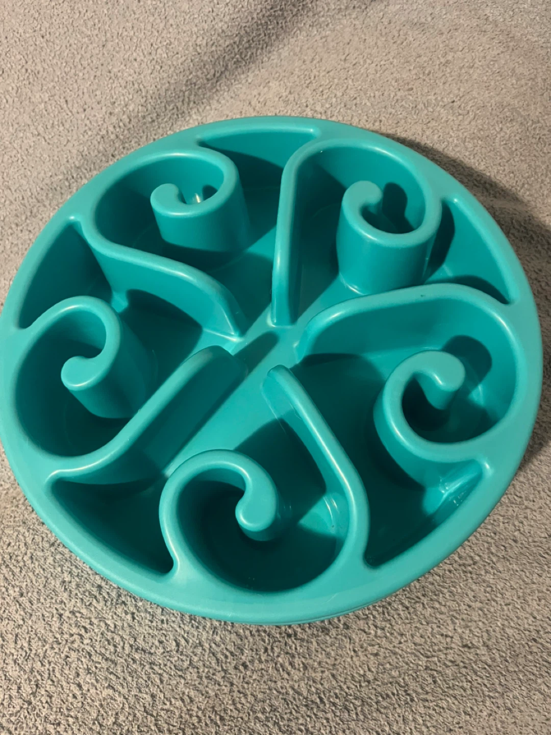 Teal Slow Feeder Pet Bowl