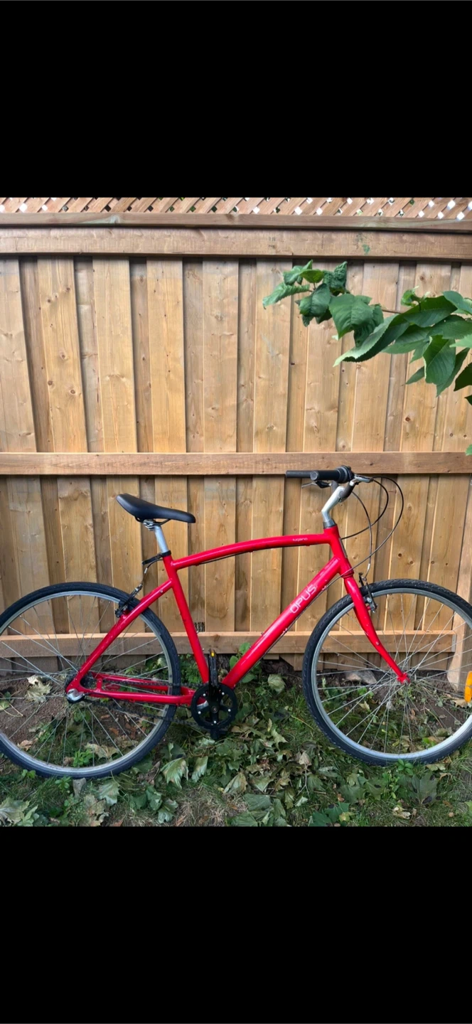 Red Opus Lugano 3 Speed Nexus Bicycle - photo 3
