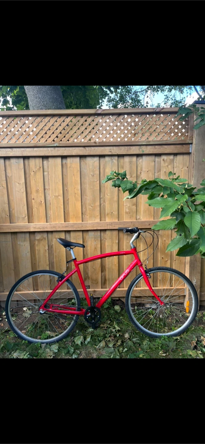 Red Opus Lugano 3 Speed Nexus Bicycle - photo 4