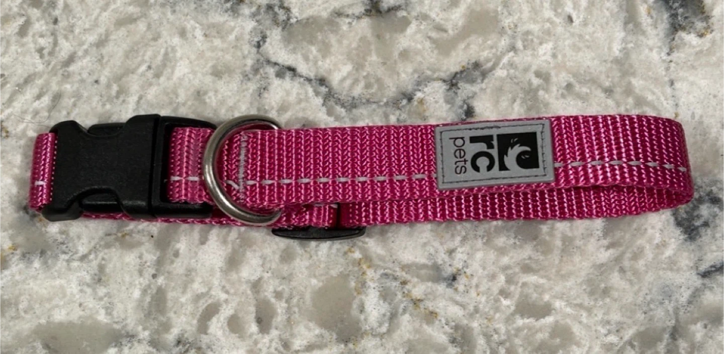 RC Pets Clip Dog Collars (Smalls)($6 each) - photo 5