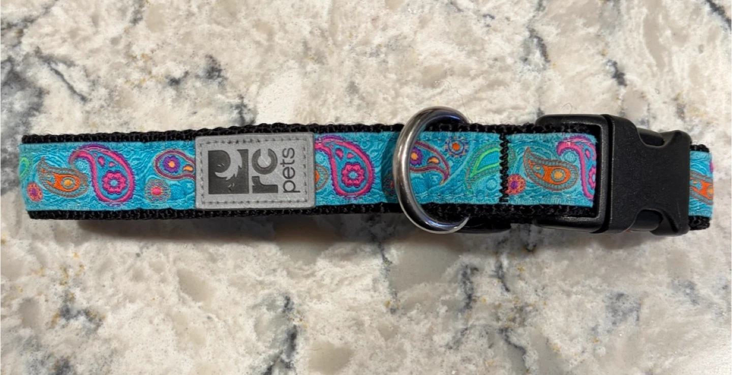 RC Pets Clip Dog Collars (Smalls)($6 each) - photo 3