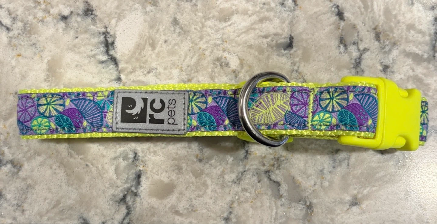 RC Pets Clip Dog Collars (Smalls)($6 each) - photo 4
