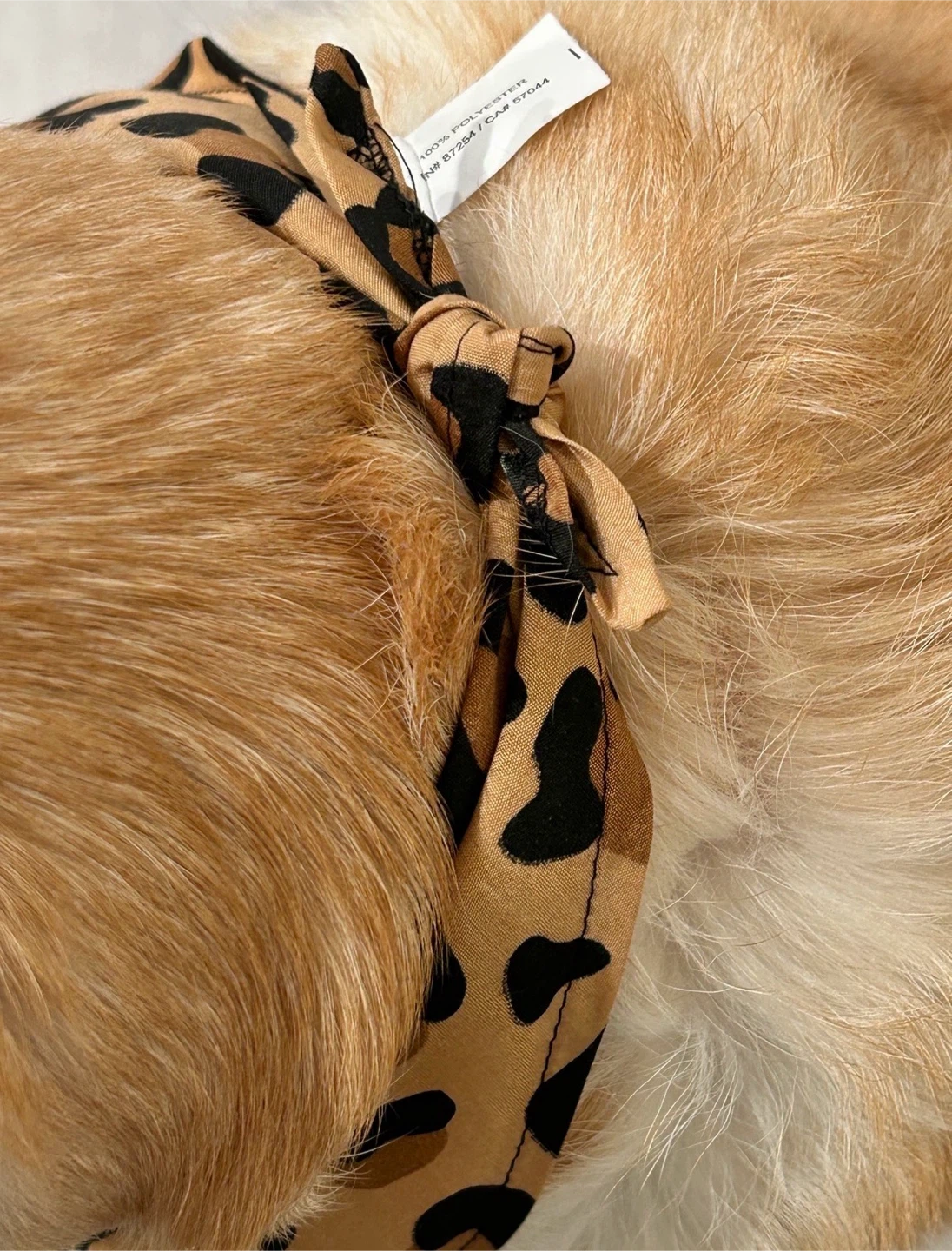 Leopard Print Pet/Children’s Bandanas - photo 5