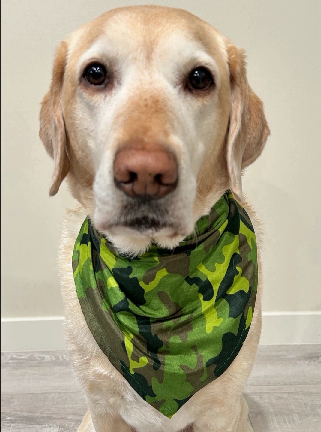 Camouflage Print Pet/Children’s Bandanas - photo 4
