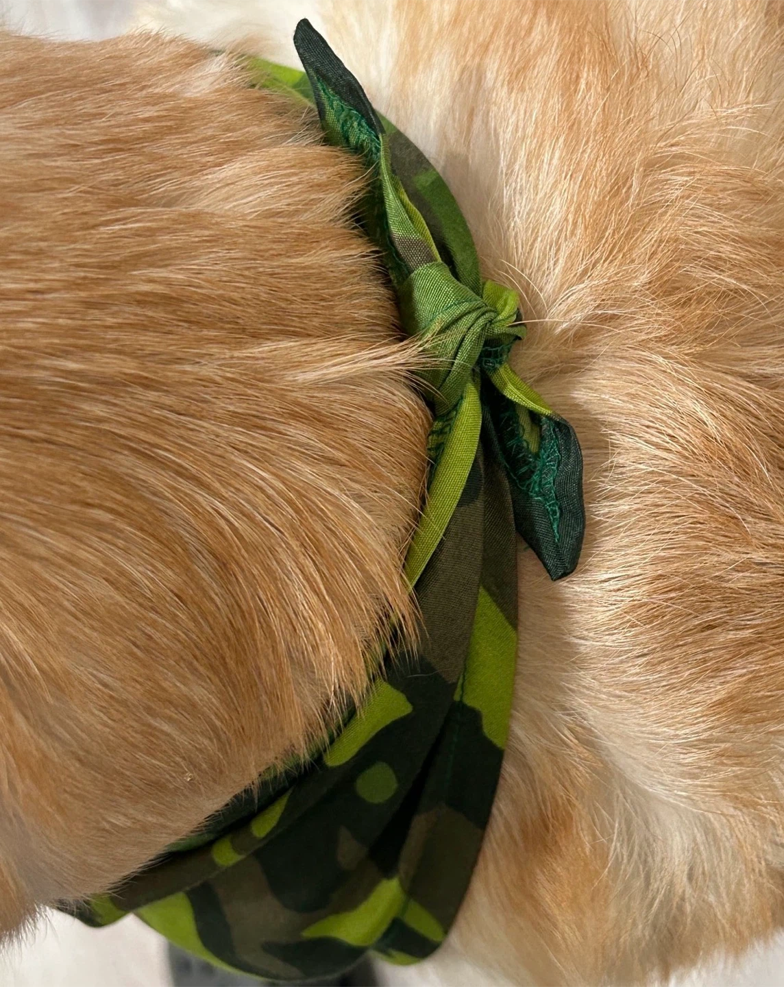 Camouflage Print Pet/Children’s Bandanas - photo 5