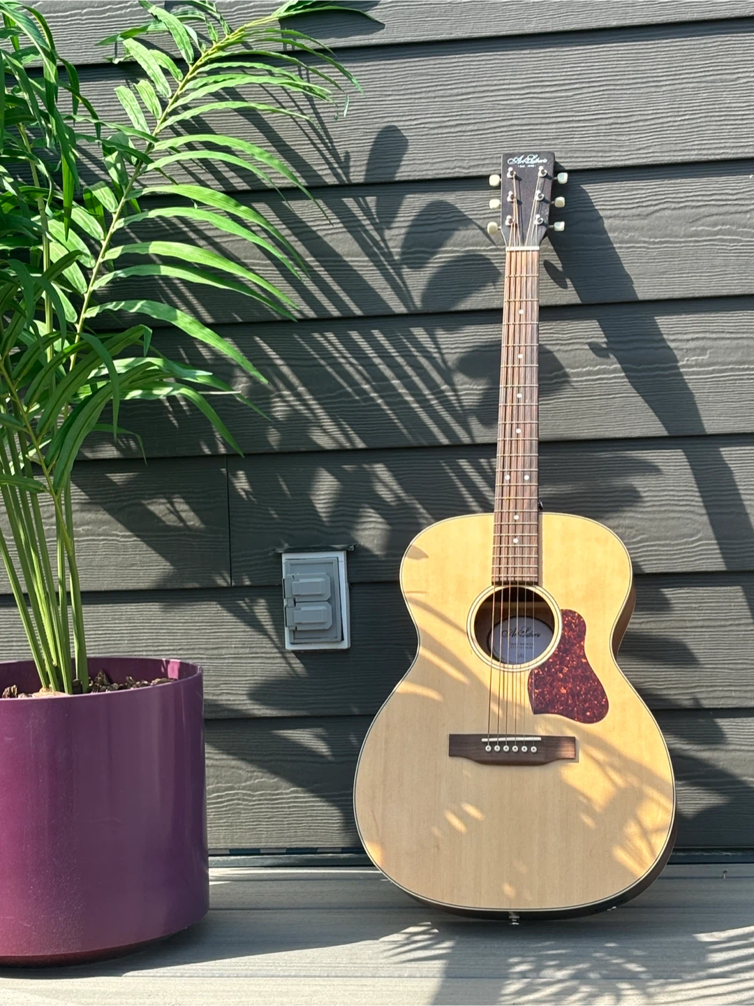 Art & Lutherie Acoustic Electric Guitar