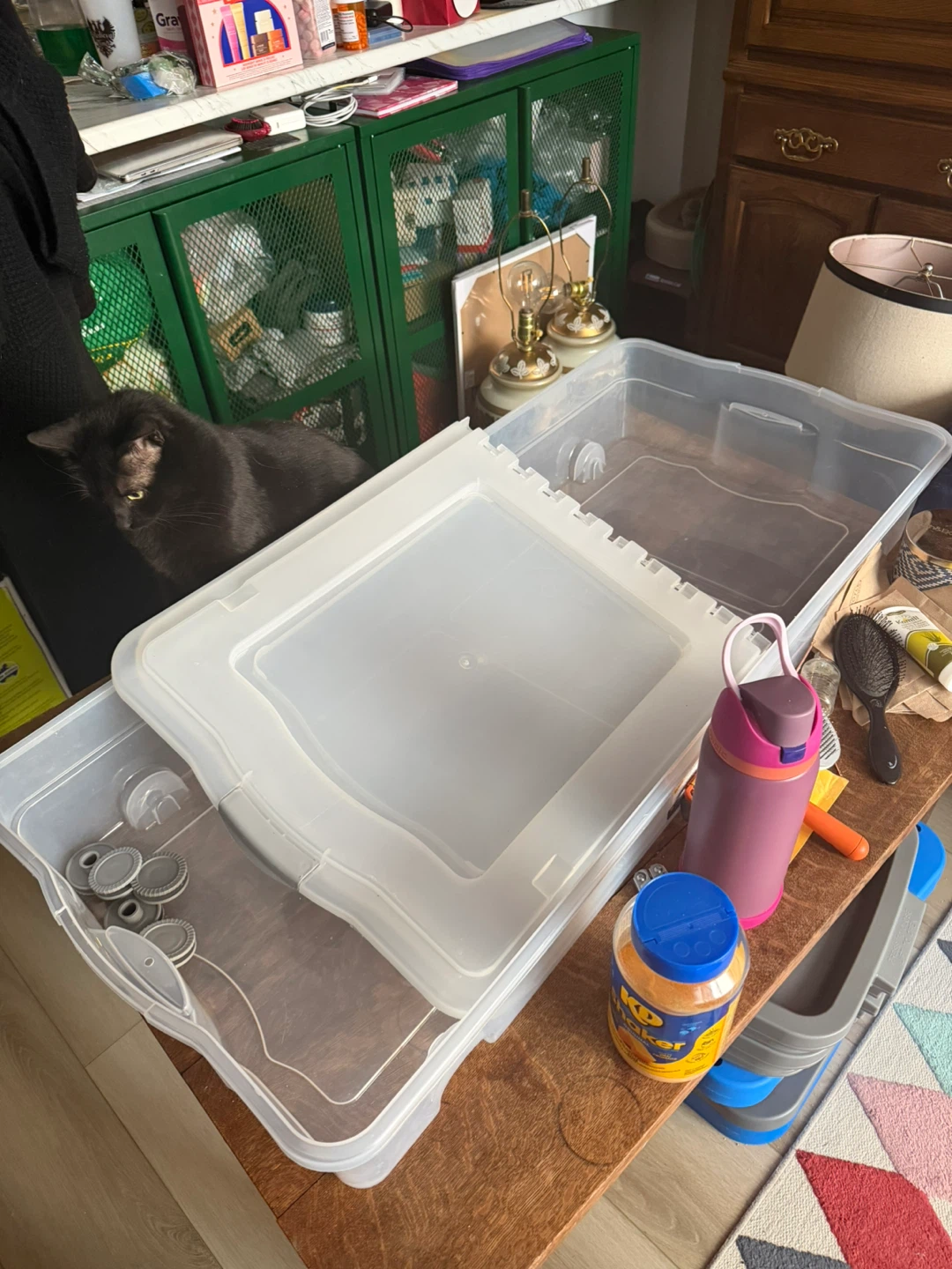 Clear Plastic under bed Storage Bin with Lid