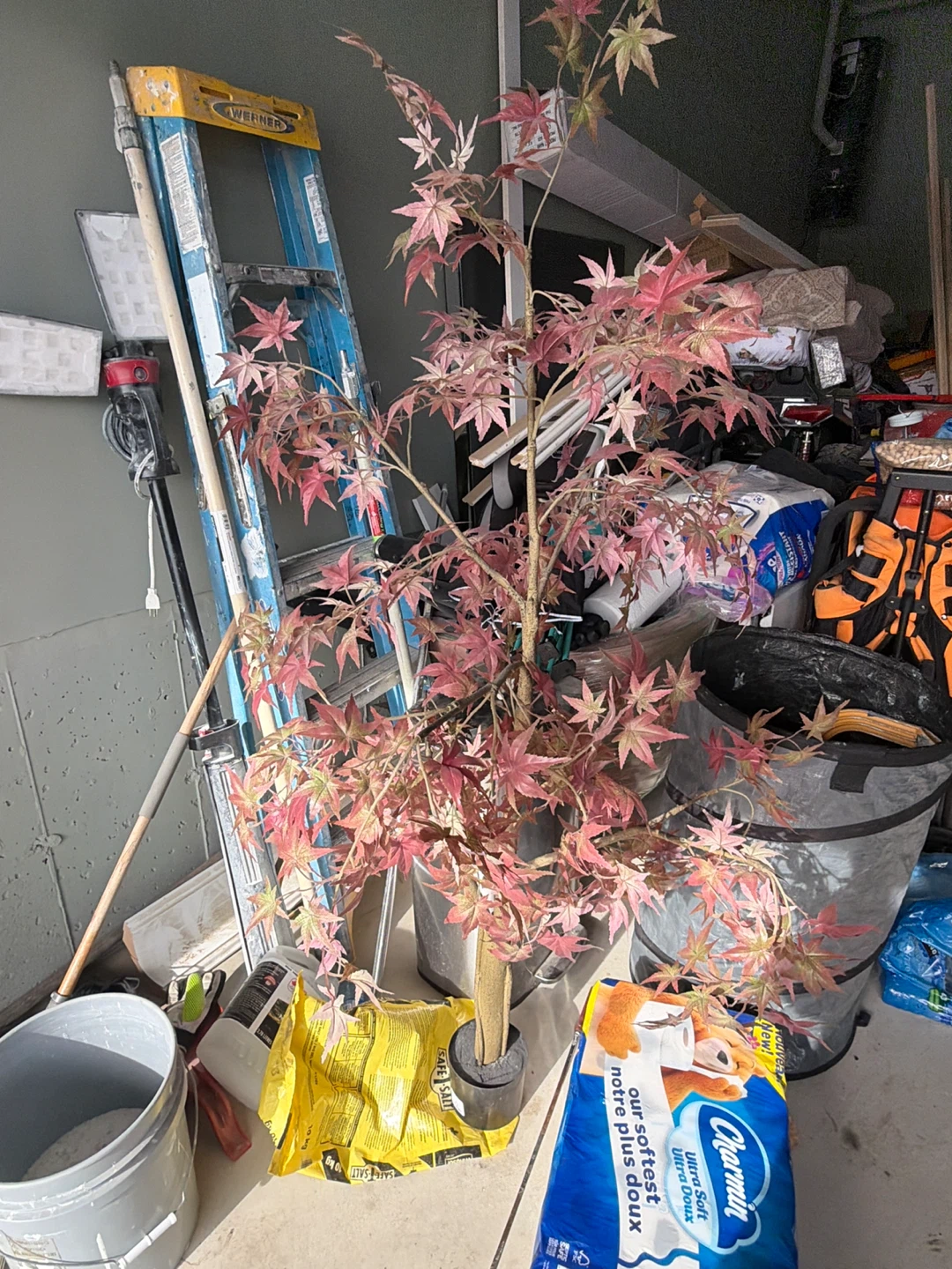 Artificial Maple Tree with Pink Leaves