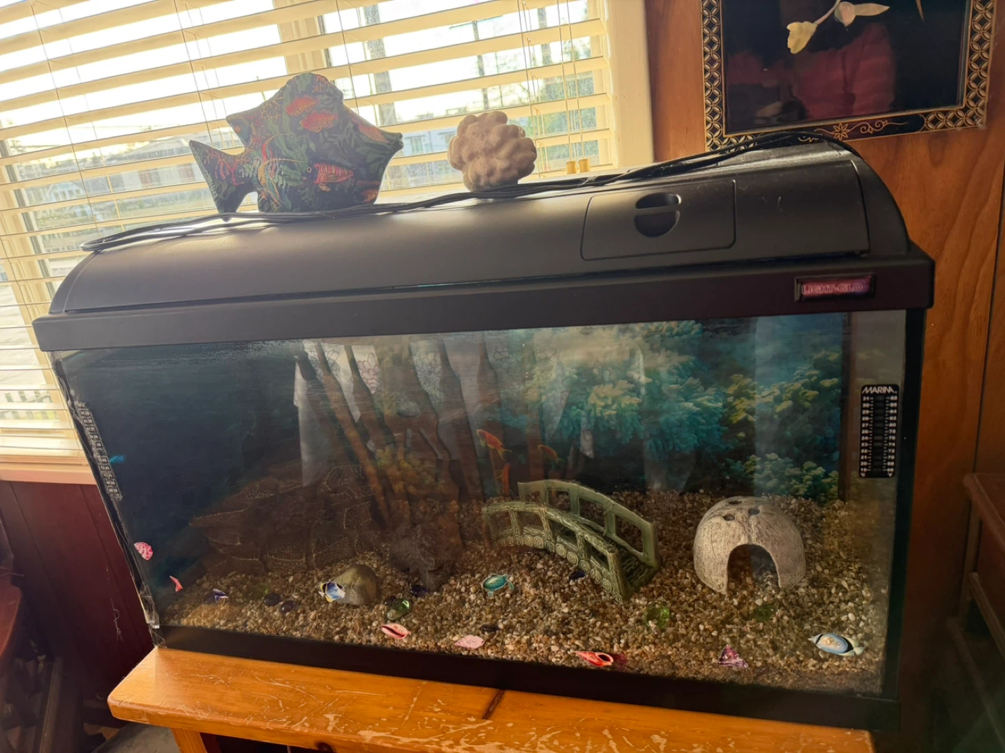 Marina 20 Gallon Aquarium with Light-Glo