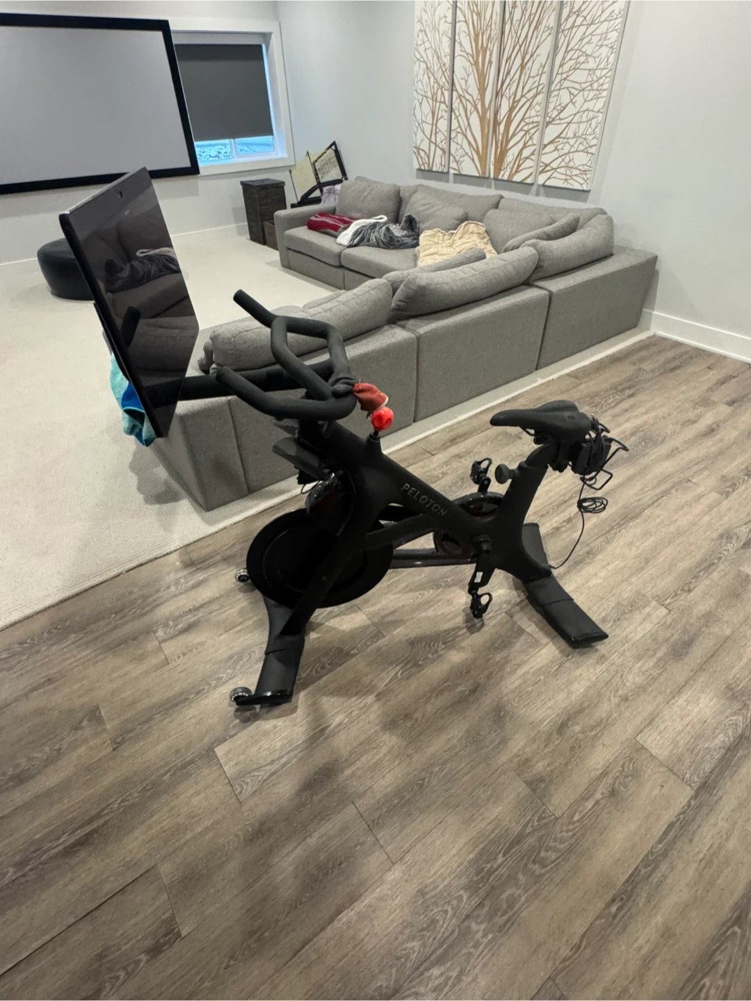 Peloton Exercise Bike with Screen