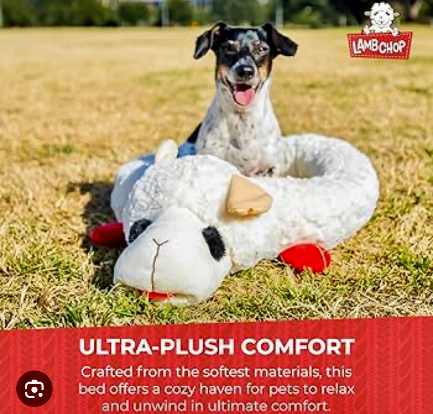 Lambchop Pet Bed
