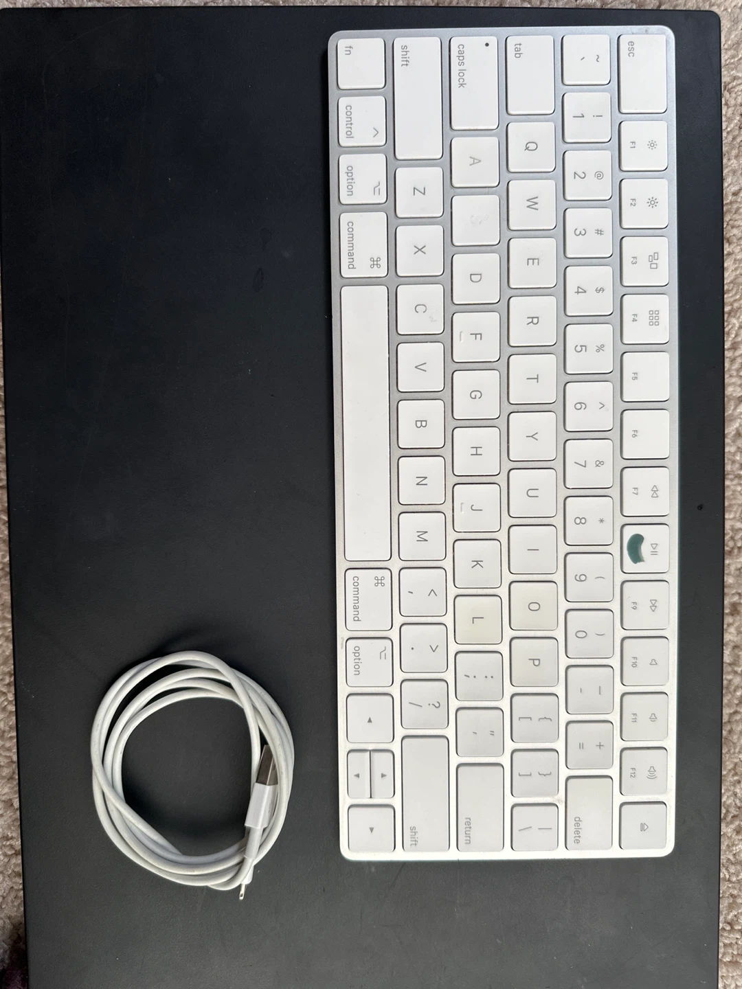 Apple Wireless Keyboard with USB Charging Cable