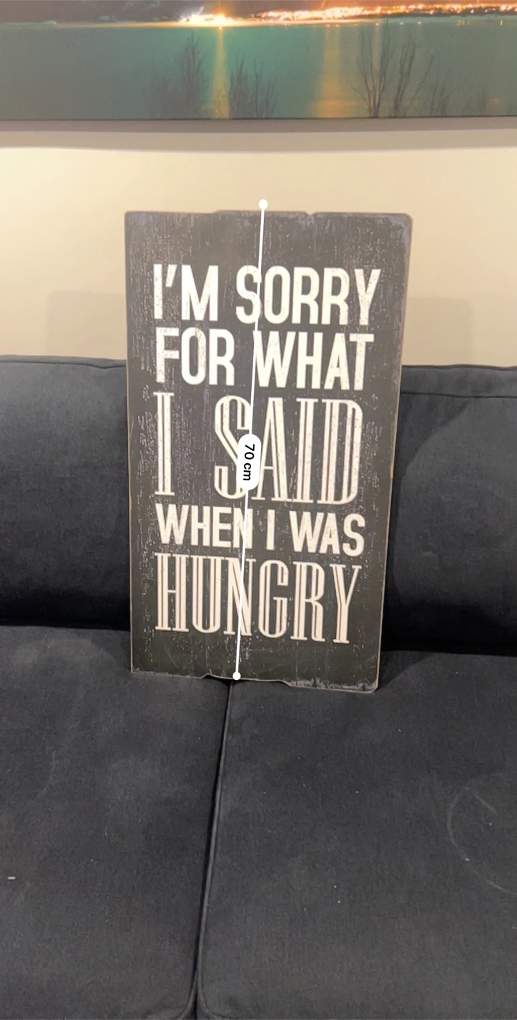 Rustic "I'm Sorry For What I Said When I Was Hungry" Wood Sign