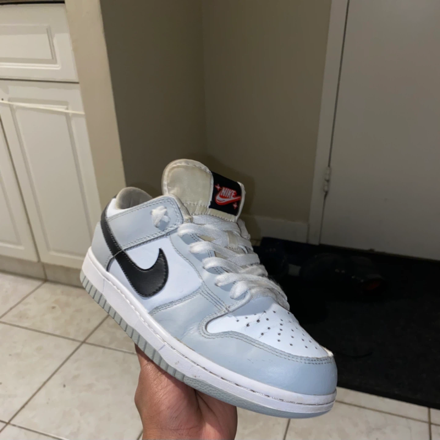 Nike Dunk Low Sneakers