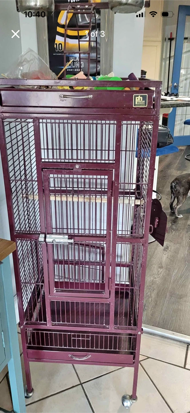 Bird cage. Grey in colour just needs a good cleaning.