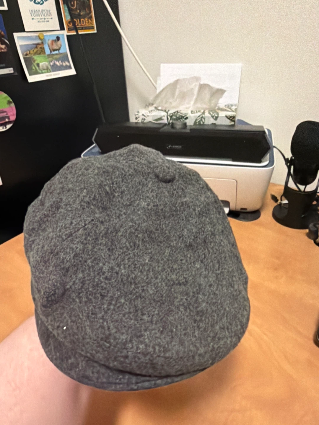 The North Face poor boy winter hat
