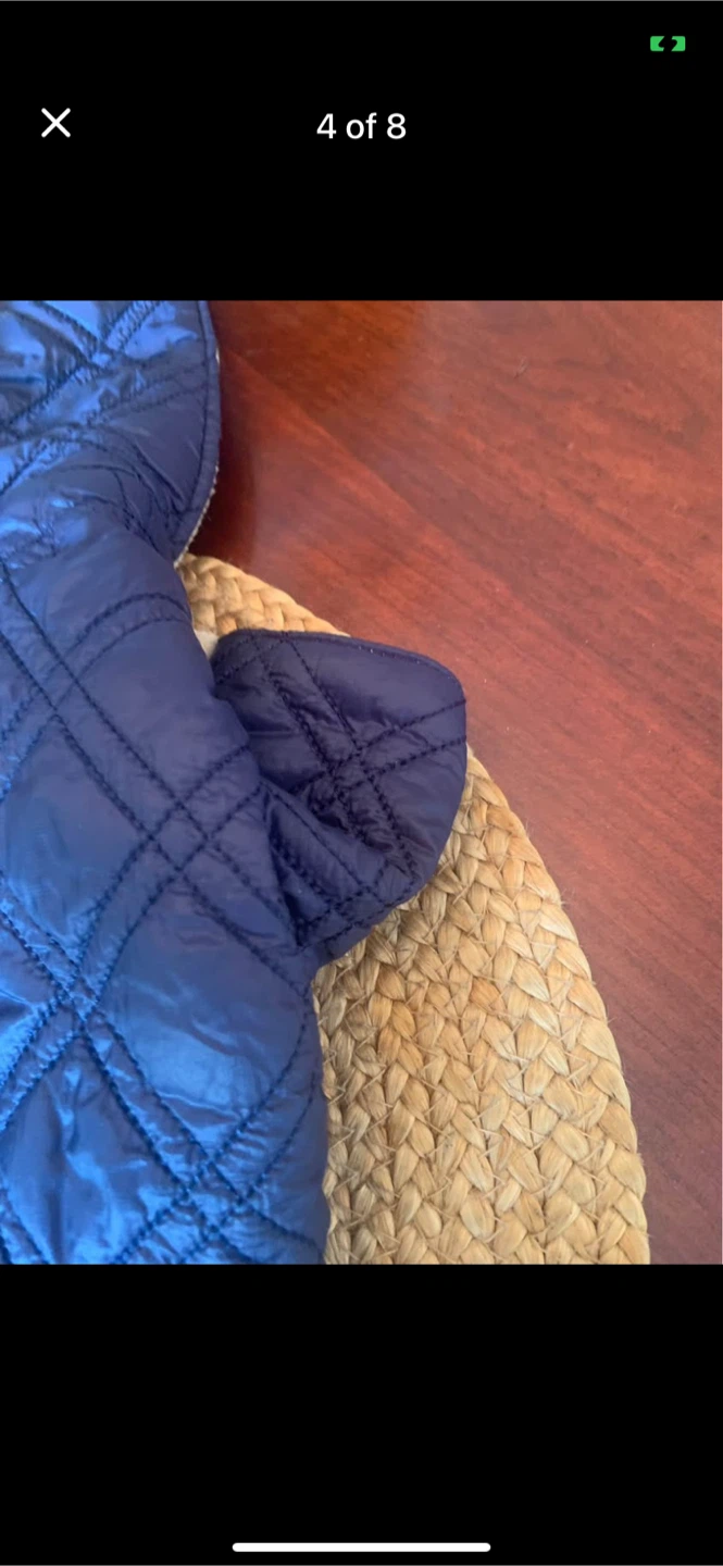Blue Quilted Dog Jacket with Hood - photo 3