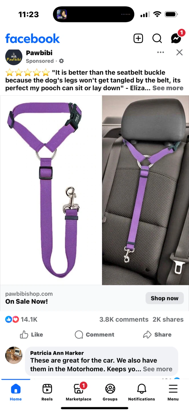 Pawbabi Dog Car Seat Belt - photo 3