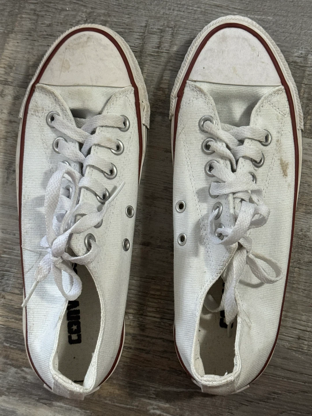 Converse All Star White Canvas Sneakers