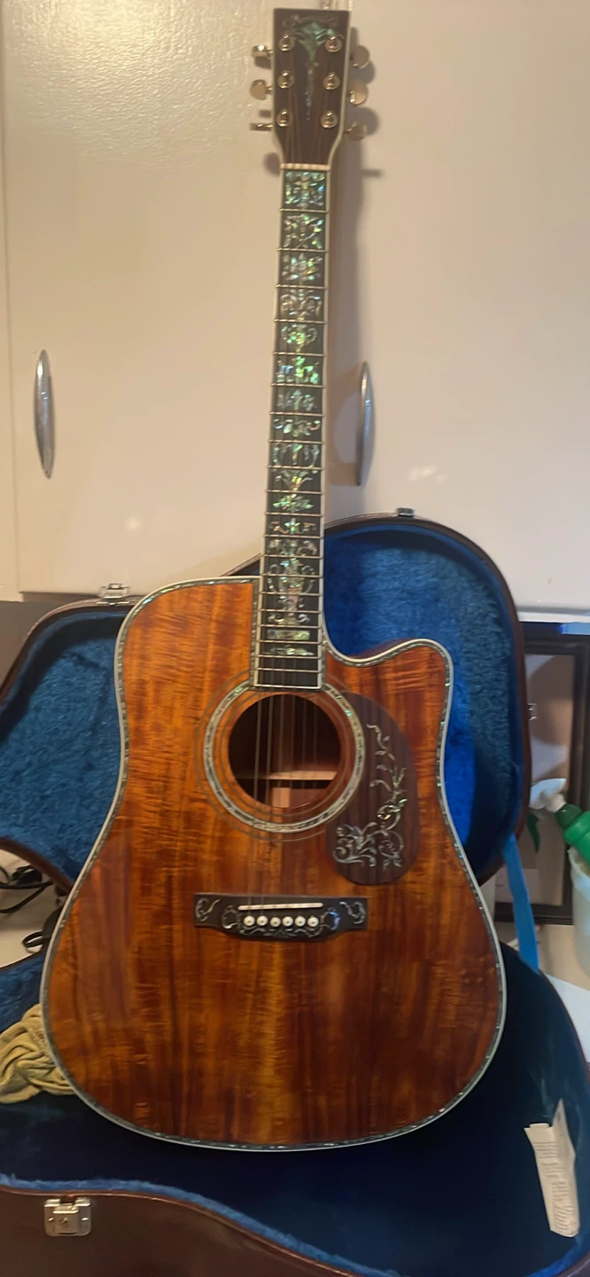 STUNNING Acoustic Guitar