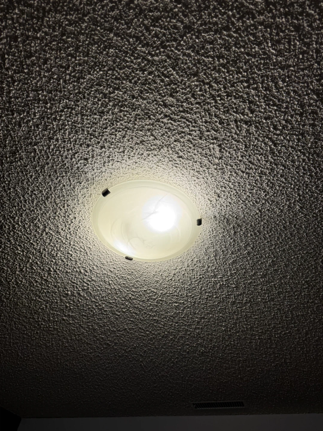 Flush Mount Ceiling Light Fixture