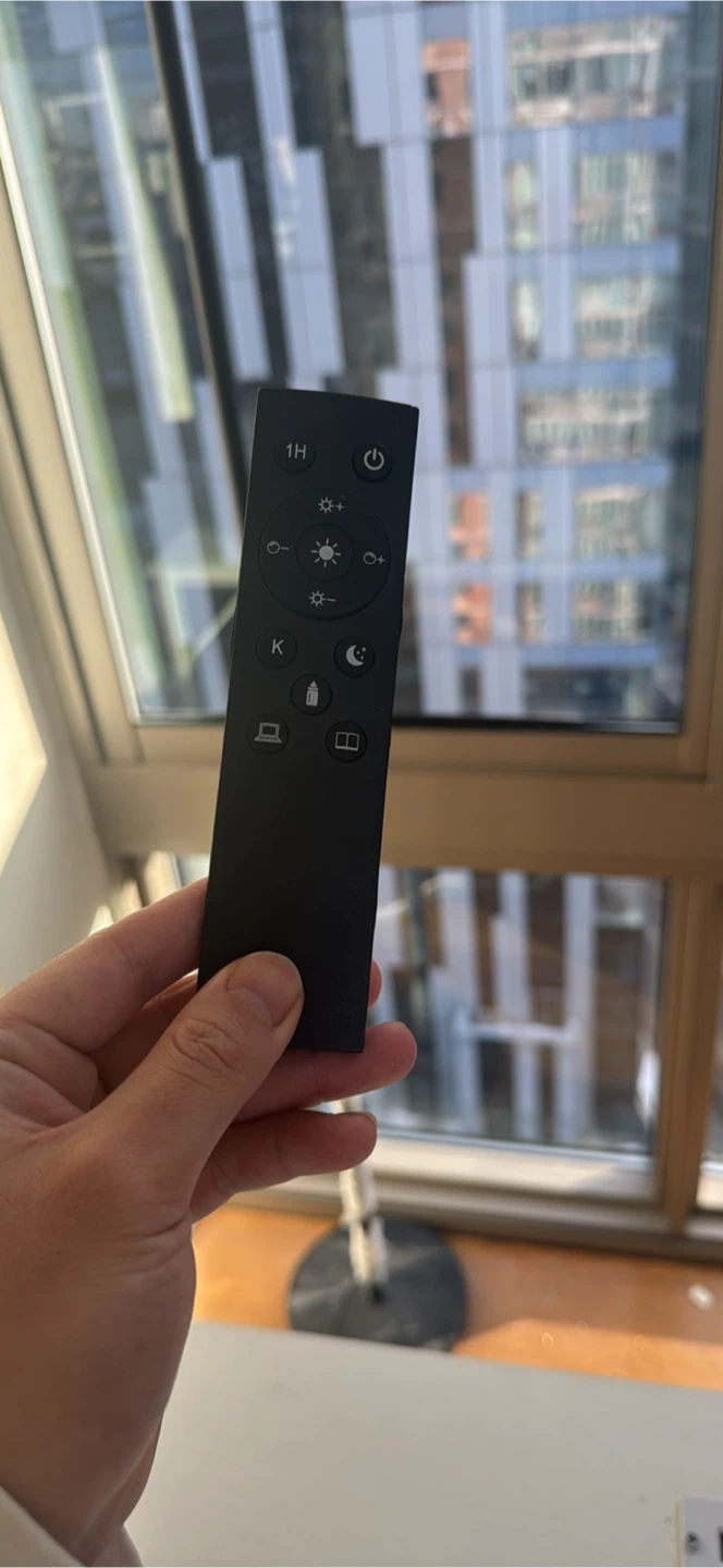 Floor Lamp with Remote Control