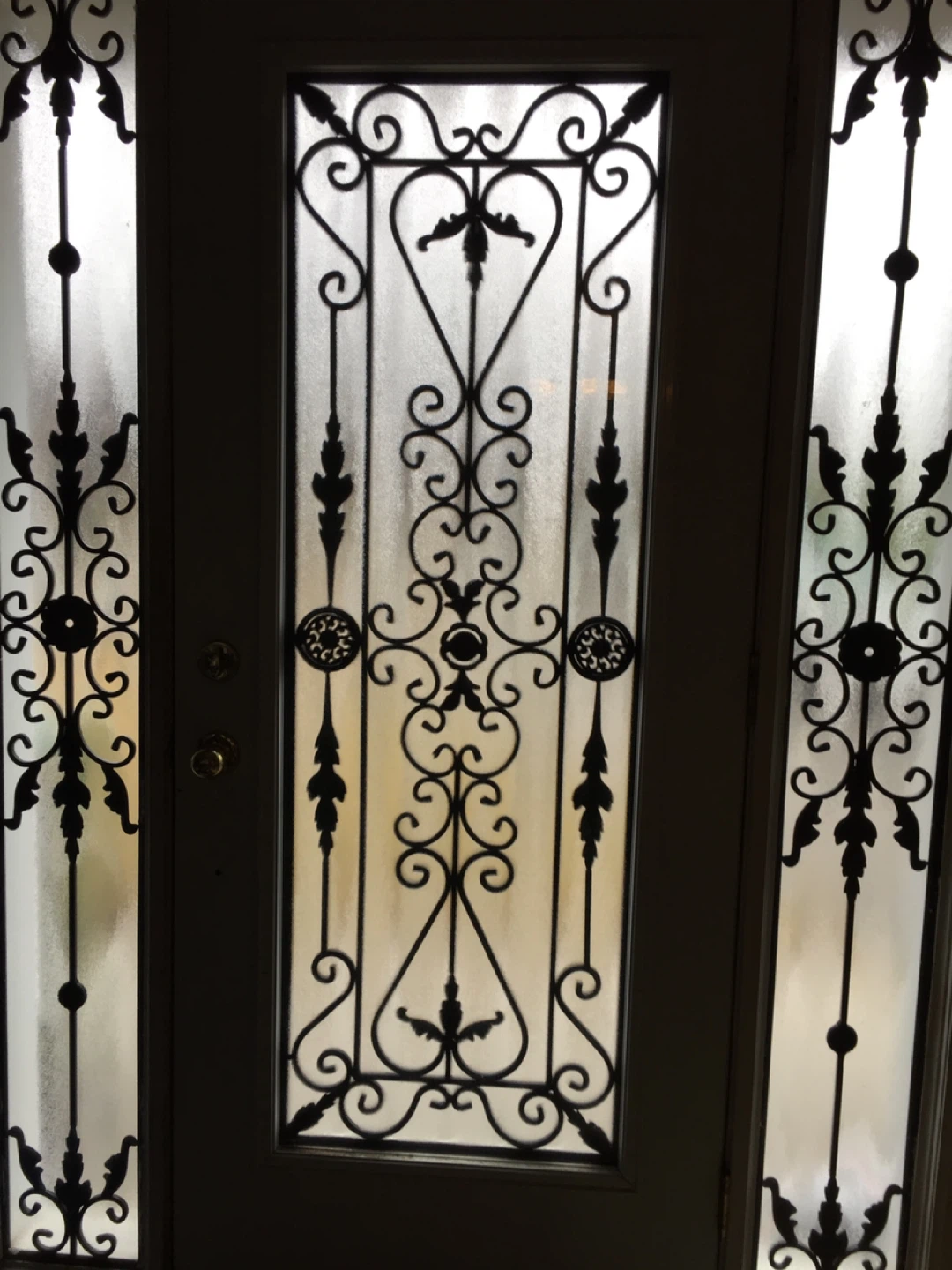 Ornate Wrought Iron Decorative Door Insert