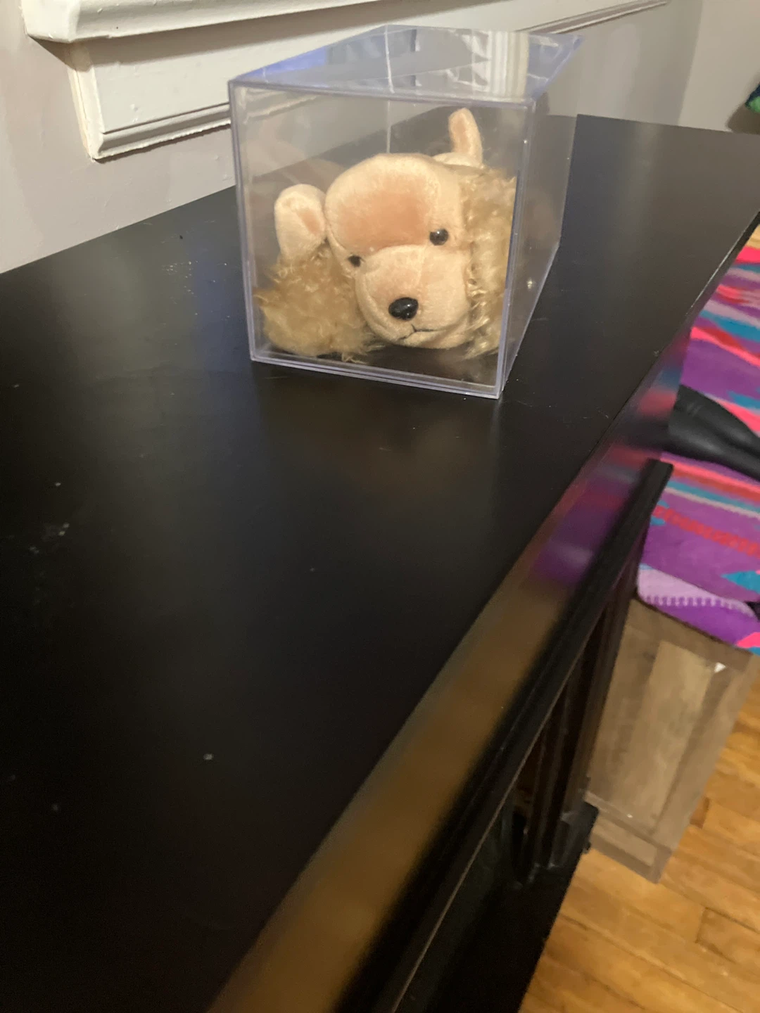 Ty Beanie Baby  Puppy- In Case