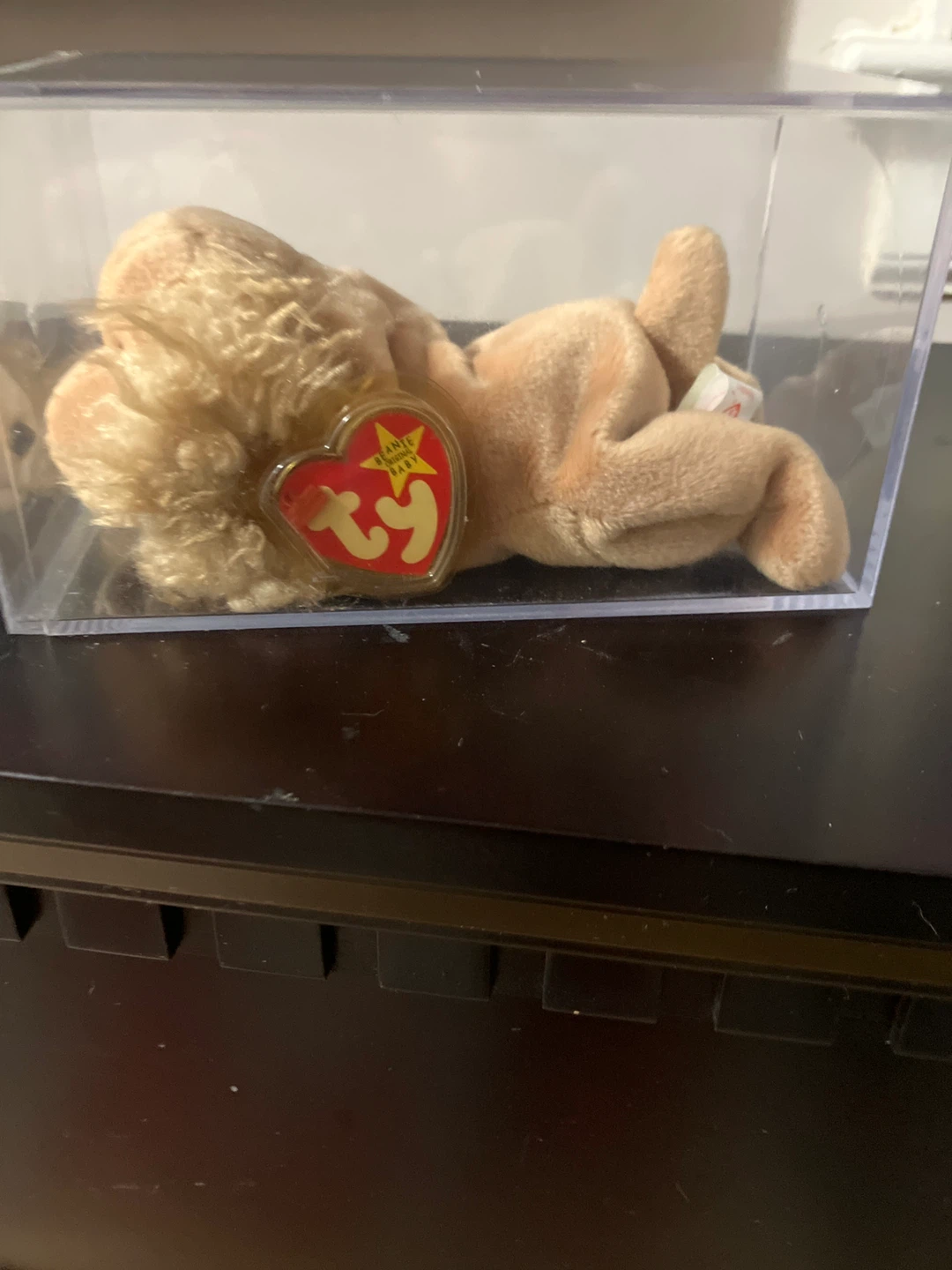 Ty Beanie Baby  Puppy- In Case - photo 2