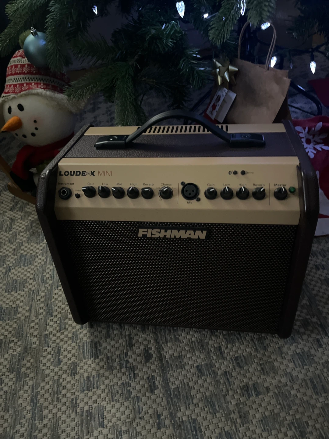 Fishman Loudbox Mini & Senheiser SeV7 mic Setup